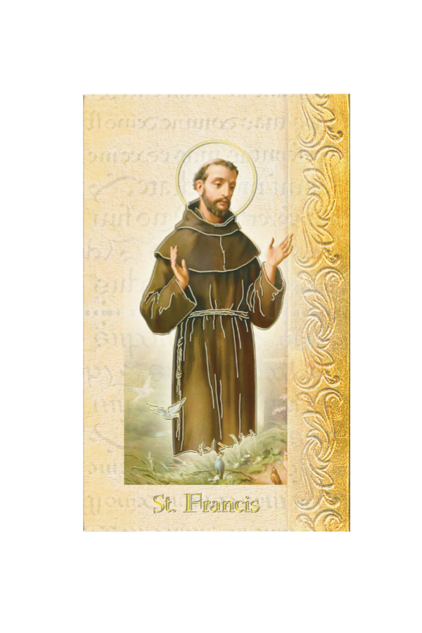 Biography of St. Francis